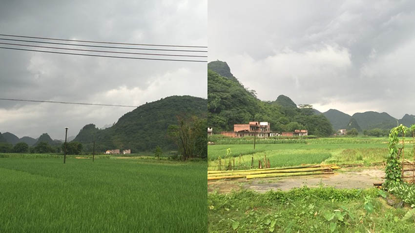 陽(yáng)山峰林古道