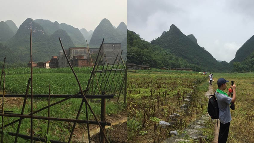 陽(yáng)山峰林古道