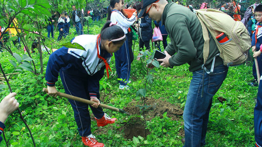 播種植樹(shù)-呵護(hù)生命成長(zhǎng)