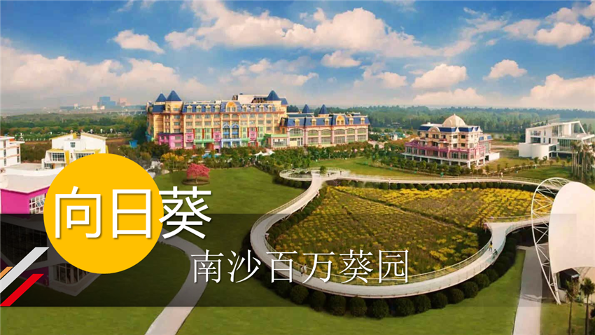 南沙百萬葵園