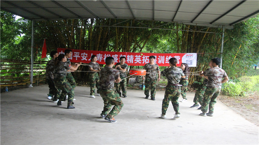 中國平安人壽佛山南海大濕地拓展訓(xùn)練活動