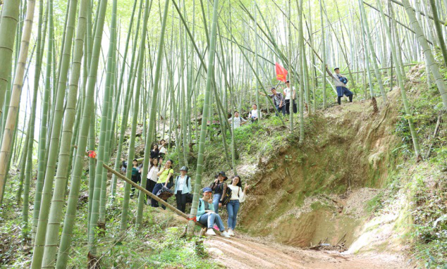 常州子蘭家居-徒步